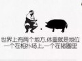 爆料牛蛙视频文案搞笑版,文案搞笑版，笑到肚子疼！