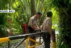 巴厘岛情侣死亡爆料视频,揭秘背后惊人真相